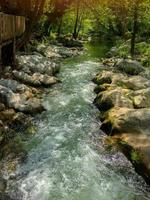 Wasserfall im Wald, Bach im Wald, Flusswasser im Wald foto