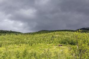 Einsame Hütte auf einem Berg im Wald in Norwegen. foto