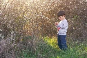 glückliches Kind auf dem Feld im Frühjahr foto