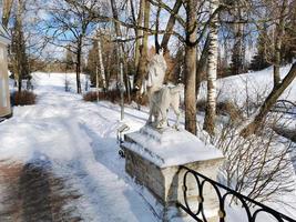 Winter im Pavlovsky Park weißer Schnee und kalte Bäume foto