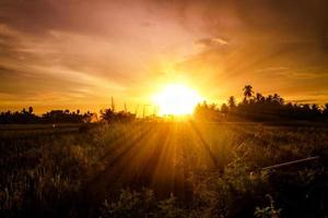 Dramatischer Sonnenuntergang im Feld mit Sonnenstrahl foto