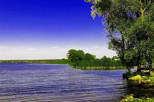 schöne Landschaft mit Fluss in der Nähe des Waldes foto