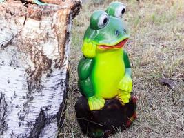 großer schöner grüner Frosch neben Birkenhanf foto