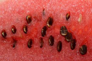 Wassermelone viele Samen foto