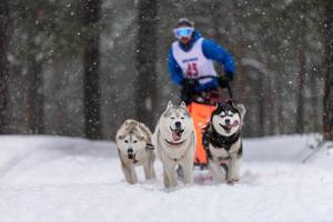 Schlittenhunderennen. husky schlittenhundegespann ziehen einen schlitten mit hundefahrer. Winterwettbewerb. foto