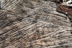 Holz abstrakte Textur. Oberfläche Grunge-Hintergrund. schmutziges Holzeffektmuster. materiellen Hintergrund. foto