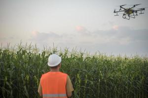 Männlicher Ingenieur, der Drohnen kontrolliert, die Düngemittel und Pestizide über Ackerland sprühen, High-Tech-Innovationen und intelligente Landwirtschaft foto