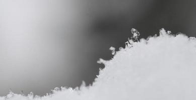 einzelner Schneekristall mit grauem Panorama foto