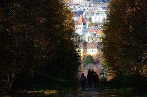 spaziergang in der stadt wien und im herbst foto