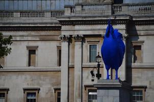 blaues Huhn in einer Stadt foto