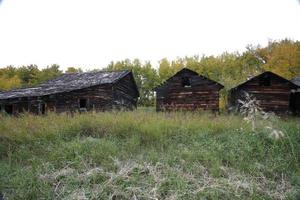 Verlassenes Gehöft in Alberta foto