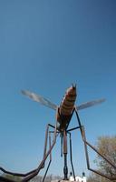 riesige Musquito-Statue in Komarno, Manitoba foto