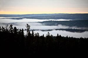 Bodennebel im malerischen Alberta foto