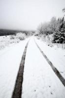 Wintertag in den Cypress Hills von Saskatchewan foto