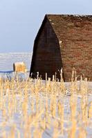 alte Scheune im Winter Saskatchewan foto