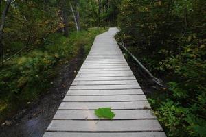 Boardwalk to Backguard Falls in British Columbia foto