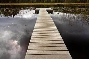 Dock und Seerosen am See in British Columbia foto