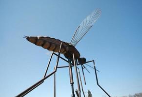 riesige Musquito-Statue in Komarno, Manitoba foto