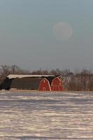 Scheune und Vollmond Kanada foto