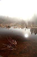 nebliger morgen see im frühling saskatchewan foto