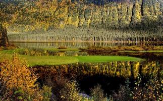 Reflexion über Bell Lake im Herbst in British Columbia foto