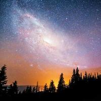 fantastischer Sternenhimmel und die Milchstraße über den Zinnen der Kiefern. mit freundlicher genehmigung der nasa foto