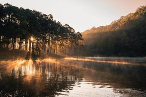 Wunderschöner Natursee und Wald am Morgen foto