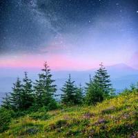 Molkerei Star Trek im Wald. dramatische und malerische Szene. fantastischer Sternenhimmel und die Milchstraße foto