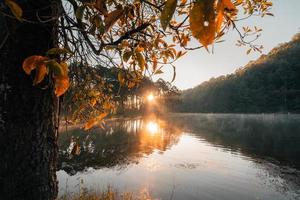 Wunderschöner Natursee und Wald am Morgen foto