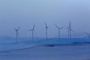 Windpark in der Nähe von Pincher Creek Alberta foto