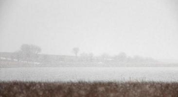 Nebelschuss von Sümpfen in Saskatchewan foto