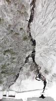 Zweige des Sees im Schnee gesehen foto