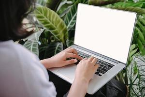 kreative Freiberuflerin mit Laptop im Café mit Zimmerpflanze, Geschäftsfrau, die online am Computer-Laptop arbeitet, während sie im Café sitzt. natur grüne pflanze entspannender raum und freizeitlebensstil. foto