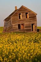 verwittertes altes Bauernhaus im malerischen Saskatchewan foto