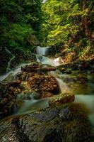 Wasserfall im Wald foto