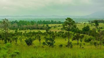 schöne waldlandschaft im thung salaeng luang nationalpark in der provinz phitsanulok in thailand. Savanne im Nationalpark von Thailand namens Thung Salaeng Luan foto