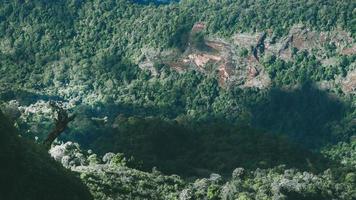 Landschaft der Berge im Nationalpark Doi Inthanon, Thailand foto