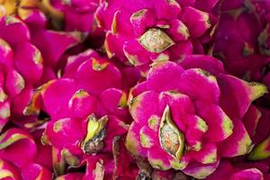Pitaya Pitahaya rosa Drachenfrucht. bangrak-markt auf koh samui, thailand. foto