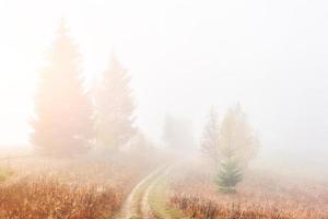 bunte Herbstlandschaftsszene mit Zaun im Berg. Karpaten, Ukraine, Europa. Beauty-Welt foto