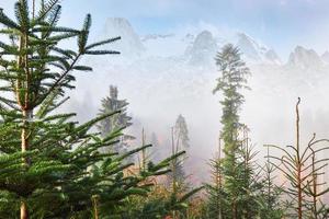 morgennebel kriecht mit fetzen über den herbstlichen bergwald, der mit goldblättern bedeckt ist. schneebedeckte Gipfel majestätischer Berge im Hintergrund foto