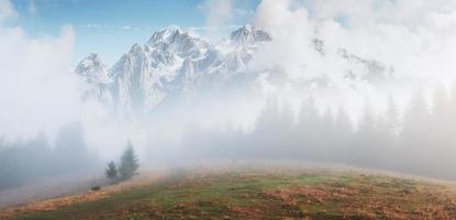 morgennebel kriecht mit fetzen über den herbstlichen bergwald, der mit goldblättern bedeckt ist. schneebedeckte Gipfel majestätischer Berge im Hintergrund foto