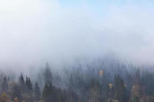 schöner morgennebel und sonnenstrahlen am berghang im herbstlichen kiefernwald foto