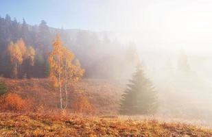 Herbstnebel und die schöne Morgensonne in einer Landschaft foto