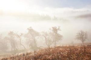 Herbstnebel und die schöne Morgensonne in einer Landschaft foto