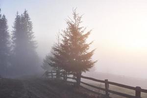 Nebeliger Morgen in den ukrainischen Karpaten in der Herbstsaison foto