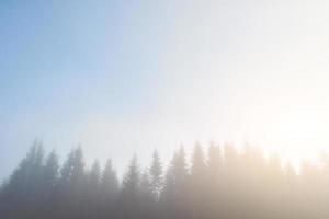 morgennebel kriecht mit fetzen über den herbstlichen bergwald, der mit goldblättern bedeckt ist foto