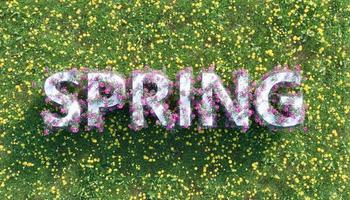 Frühlingsschild mit Blumen über einem Feld voller Blumen foto