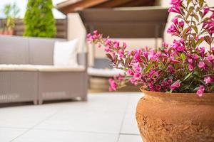 blühendes Heidekraut und verschwommenes Sofa mit einem Haus im Hinterhof im Herbst. Dekor Terrasse des Landhauses. Gartenkonzept. ziergarten blühende pflanze im garten foto