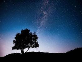 Landschaft mit nächtlichem Sternenhimmel und Baumsilhouette auf dem Hügel. milchstraße mit einsamem baum, sternschnuppen. foto