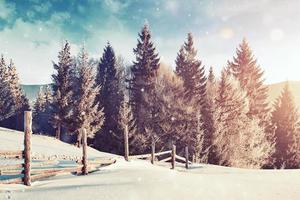 mysteriöse winterlandschaft majestätische berge im winter. magischer winterschneebedeckter baum. Foto-Grußkarte. Bokeh-Lichteffekt, weicher Filter. foto